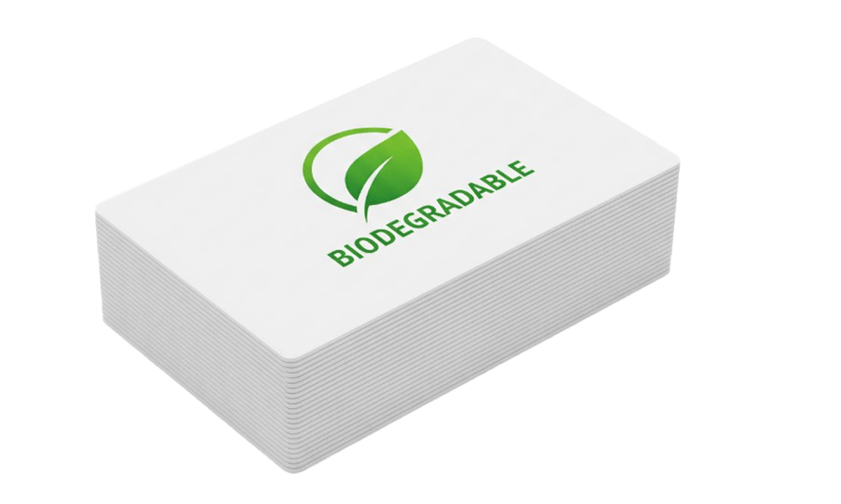 Blank Bio Cards